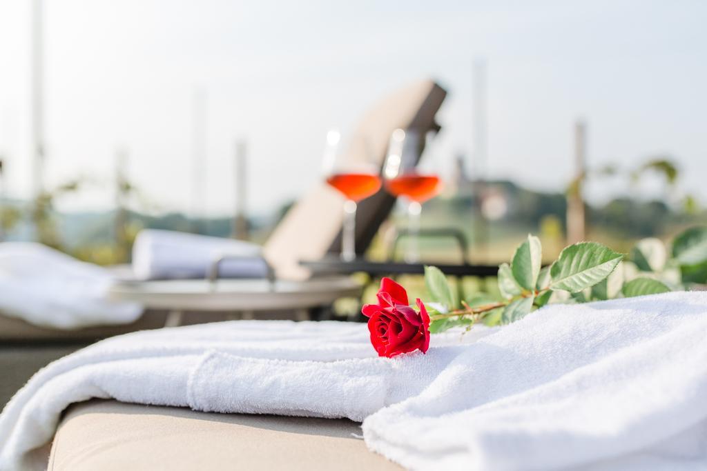 Wohnen Im Wein Apartment Ehrenhausen Ngoại thất bức ảnh