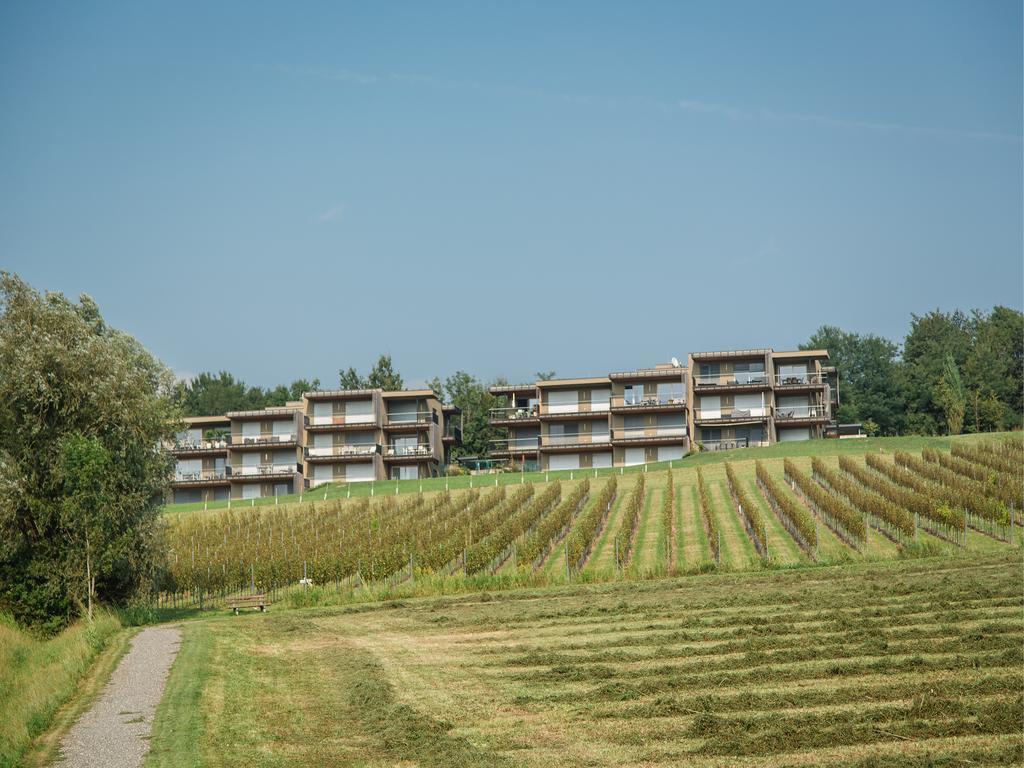 Wohnen Im Wein Apartment Ehrenhausen Ngoại thất bức ảnh